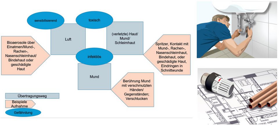 Bghm verbandbuch